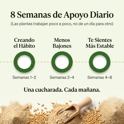 Diabetes Salud – Alpiste, Guanábana, Moringa y Cúrcuma